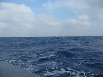 Aphrodite hat gefunkt...