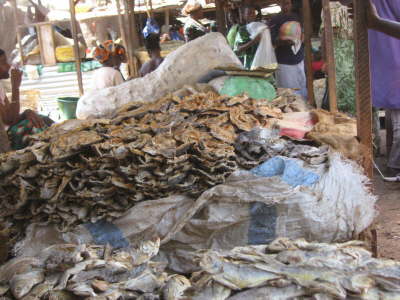 Serekunda Market