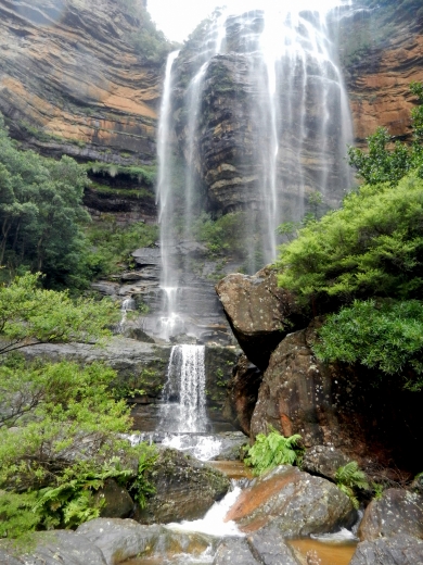 Wentworth Falls. Da oben müssen wir wieder rauf...