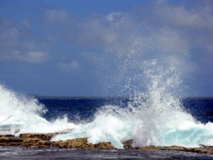 Bonaire - The rough side Bonaire - The rough side
