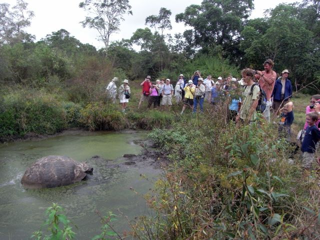 Bitte recht freundlich 3 - eine Schildkröte auf 50 Besucher