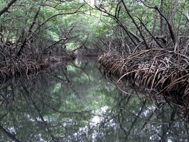 Linton Kanal