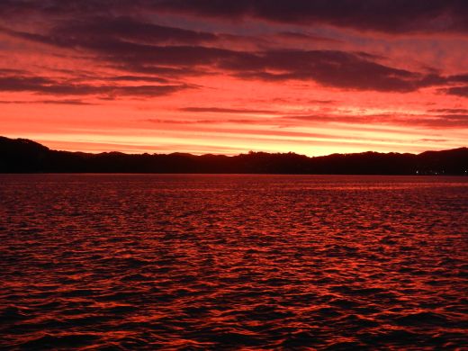 Russell Abendhimmel