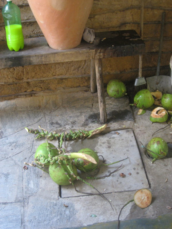 buchada-agua-de-coco.JPG