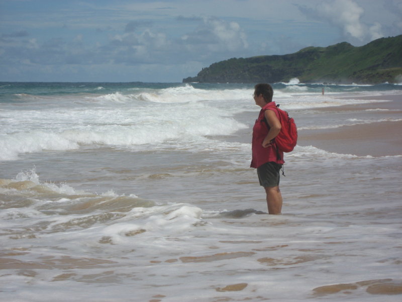 fdn-turtle-bay-fu_3_1.JPG