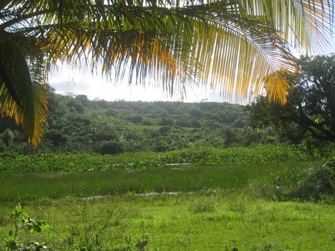 forte-v-landschaft.JPG